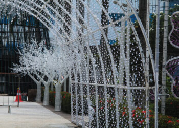 Palácio Rio Madeira se transforma em “Jardim Encantado” com acendimento das luzes do Natal de Luz, nesta segunda-feira, 3