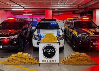 FICCO/AC em ação conjunta apreende mais de 150 kg de drogas na divisa dos Estados do Acre e Rondônia