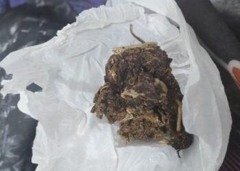 PMRO apreende adolescente por direção perigosa e porte de drogas em Guajará-Mirim
