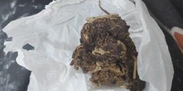 PMRO apreende adolescente por direção perigosa e porte de drogas em Guajará-Mirim