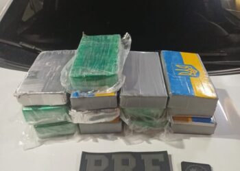 PRF apreende 15 quilos de cocaína em veículo durante fiscalização em Simões Filho (BA)