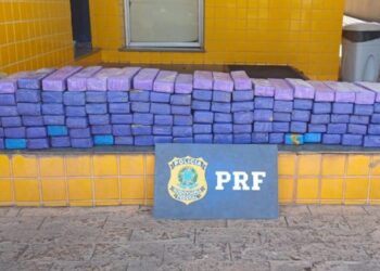 PRF apreende cerca de 120 kg de maconha e prende dois homens na BR-262, em Bom Despacho/MG