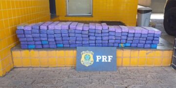 PRF apreende cerca de 120 kg de maconha e prende dois homens na BR-262, em Bom Despacho/MG