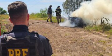 PRF apreende 300 Kg de maconha em Naviraí (MS)