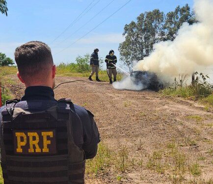 PRF apreende 300 Kg de maconha em Naviraí (MS)