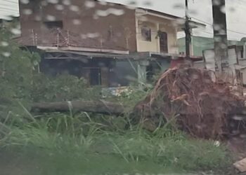 Forte chuva com vento derrubou várias árvores na av rio de janeiro -VEJA VÍDEO
