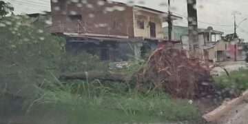 Forte chuva com vento derrubou várias árvores na av rio de janeiro -VEJA VÍDEO