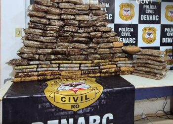 POLÍCIA CIVIL APREENDE MAIS DE 100 QUILOS DE SKUNK E CUMPRE MANDADOS NA CAPITAL