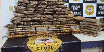 POLÍCIA CIVIL APREENDE MAIS DE 100 QUILOS DE SKUNK E CUMPRE MANDADOS NA CAPITAL