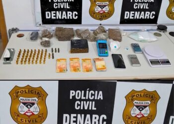 POLÍCIA CIVIL CUMPRE MANDADO E APREENDE DROGAS E MUNIÇÕES