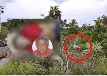 Idoso morre após perder o controle do carro e capotar em rodovia de Rondônia