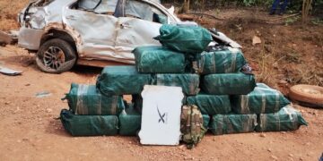 FORÇAS DE SEGURANÇA APREENDEM CERCA DE 600 QUILOS DE DROGAS NA REGIAO DA ZONA DA MATA OCORRÊNCIA EM ANDAMENTO