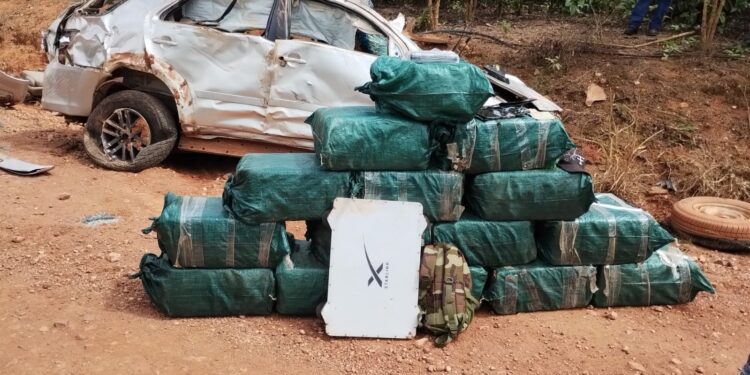 FORÇAS DE SEGURANÇA APREENDEM CERCA DE 600 QUILOS DE DROGAS NA REGIAO DA ZONA DA MATA OCORRÊNCIA EM ANDAMENTO
