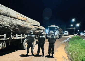 OPERAÇÃO IARA APREENDE TRÊS CAMINHÕES POR TRANSPORTE ILEGAL DE MADEIRA EM VISTA ALEGRE DO ABUNÃ