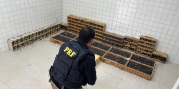 PRF resgata mais de 900 animais silvestres em Garanhuns