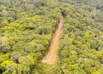 Operação Aracaçá interdita pista e desarticula estrutura de garimpo ilegal na Amazônia