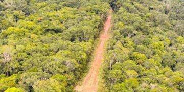 Operação Aracaçá interdita pista e desarticula estrutura de garimpo ilegal na Amazônia