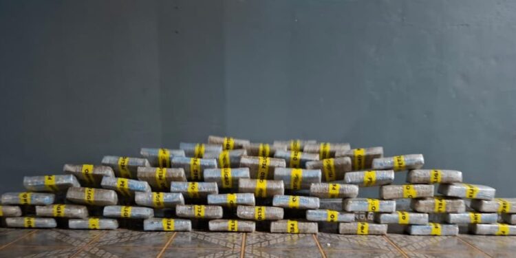 PMRO APREENDE 55 KILOS DE DROGAS EM PORTO CLANDESTINO