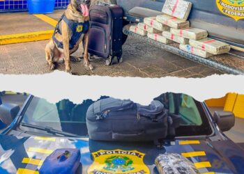 PRF apreende mais de 13 kg de drogas em fiscalizações a ônibus interestaduais em Mato Grosso