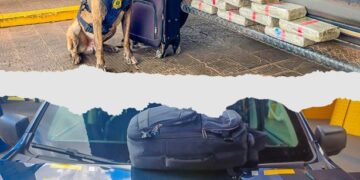 PRF apreende mais de 13 kg de drogas em fiscalizações a ônibus interestaduais em Mato Grosso