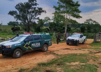 Operação em Rondônia resulta em 56 prisões e grandes apreensões de madeiras