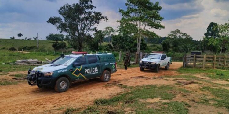 Operação em Rondônia resulta em 56 prisões e grandes apreensões de madeiras