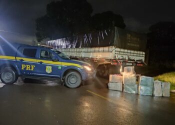 PRF apreende 241 Kg de maconha em Ribas do Rio Pardo (MS)