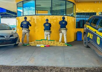 PRF apreende drogas e recupera veículo furtado