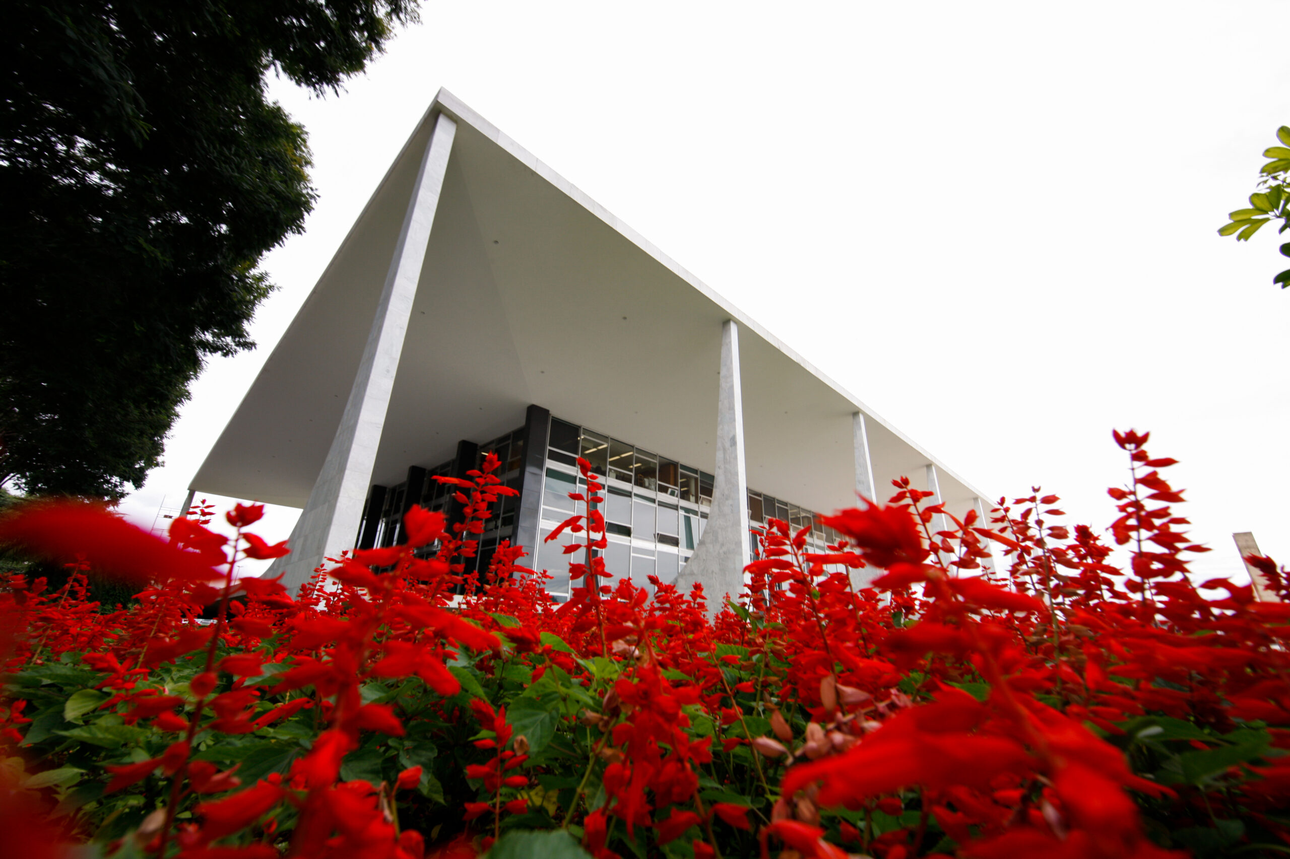 STF julga inconstitucional lei municipal que proibia Marcha da Maconha