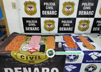 DENARC : Encomenda de 5 mil comprimidos de ecstasy é barrada