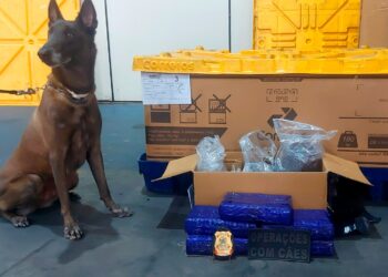POLÍCIA MILITAR APREENDE 5 KG DE MACONHA EM DEPÓSITO DOS CORREIOS