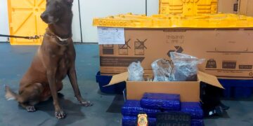 POLÍCIA MILITAR APREENDE 5 KG DE MACONHA EM DEPÓSITO DOS CORREIOS
