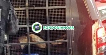 Vó é ameaçada de morte pelo neto, que quebra móveis e diz “desse ano você não passa” em Porto Velho.