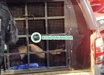 Vó é ameaçada de morte pelo neto, que quebra móveis e diz “desse ano você não passa” em Porto Velho.