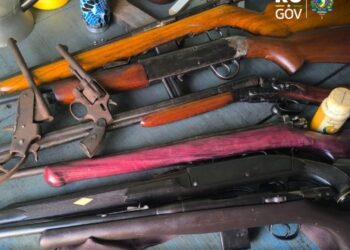 DEAM DE CACOAL, COM APOIO DA 1ª DELEGACIA E DO NÚCLEO DE INTELIGÊNCIA, CUMPRE MANDADO DE BUSCA E APREENDE DIVERSAS ARMAS