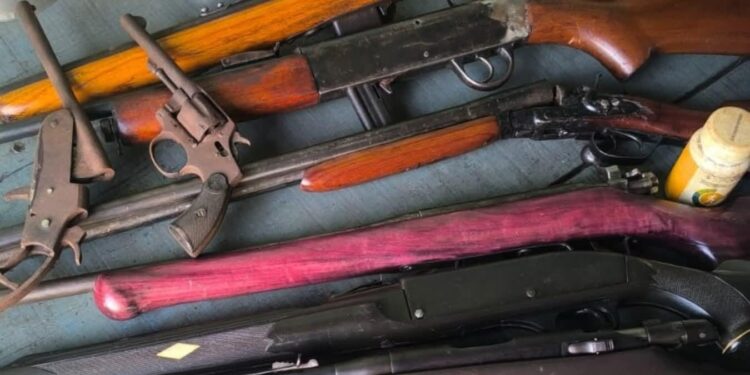 DEAM DE CACOAL, COM APOIO DA 1ª DELEGACIA E DO NÚCLEO DE INTELIGÊNCIA, CUMPRE MANDADO DE BUSCA E APREENDE DIVERSAS ARMAS