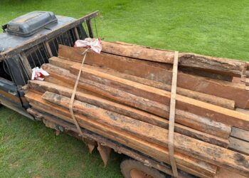 PF, PM, PRF, FUNAI e IBAMA atuam em ações integradas contra extração ilegal de madeira em Nova Mamoré