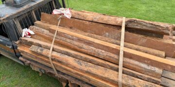 PF, PM, PRF, FUNAI e IBAMA atuam em ações integradas contra extração ilegal de madeira em Nova Mamoré