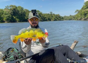 Porto Velho agora é Capital Nacional da Pesca Esportiva e da Observação de Aves