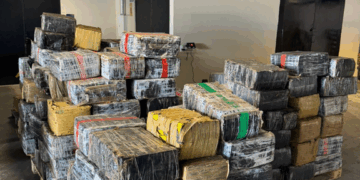 PF e PMPR apreendem mais de 3,5 toneladas de maconha, além de fuzis e pistola no Paraná