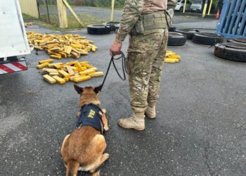 PRF apreende quase meia tonelada de maconha em pneus de carreta no Paraná