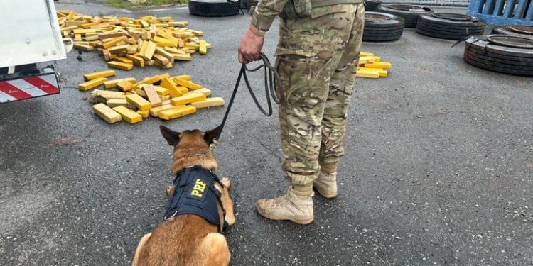 PRF apreende quase meia tonelada de maconha em pneus de carreta no Paraná