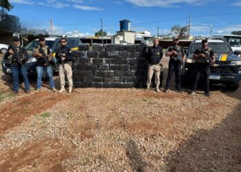 PRF apreende mais de 1,3 toneladas de Maconha em carreta na BR 262 em Bom Despacho (MG)