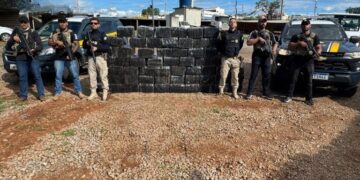 PRF apreende mais de 1,3 toneladas de Maconha em carreta na BR 262 em Bom Despacho (MG)