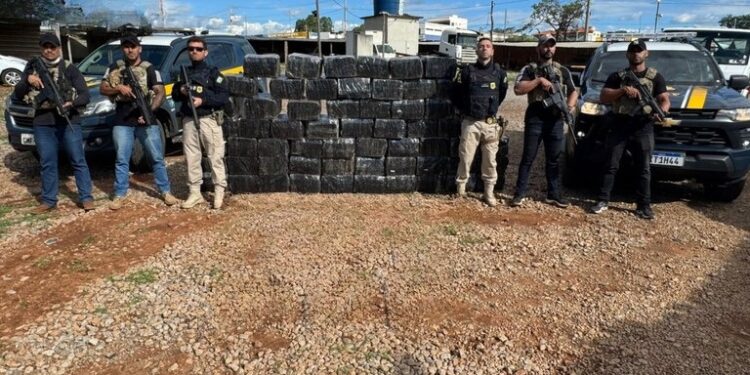 PRF apreende mais de 1,3 toneladas de Maconha em carreta na BR 262 em Bom Despacho (MG)