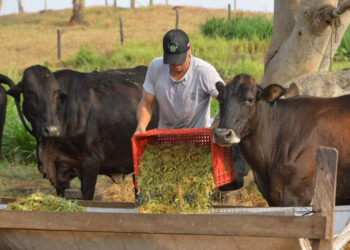 Gestão, inovação e transformação fortalecem a assistência técnica rural em Rondônia