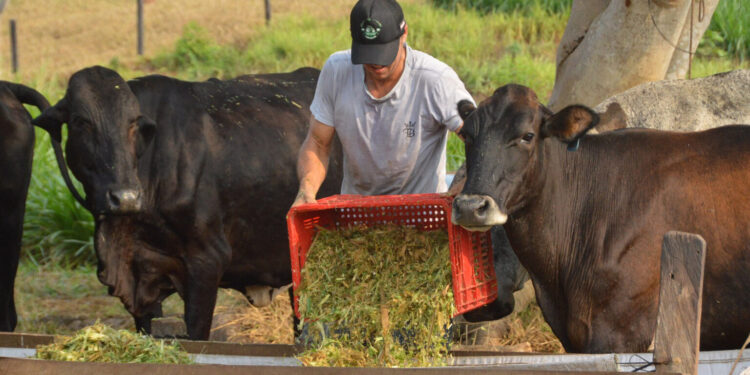 Gestão, inovação e transformação fortalecem a assistência técnica rural em Rondônia