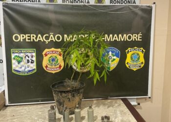 PF e PM prendem em flagrante mulher por posse ilegal de artefatos explosivos e posse ilegal de arma de fogo