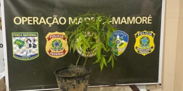 PF e PM prendem em flagrante mulher por posse ilegal de artefatos explosivos e posse ilegal de arma de fogo