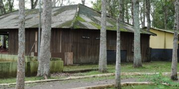 Prefeitura inicia reforma geral do Parque Circuito, símbolo histórico de Porto Velho